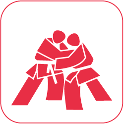 Judo